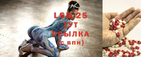 хмурый Ельня