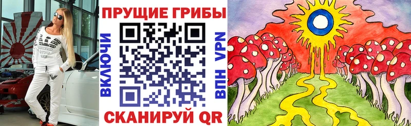 цена наркотик Туймазы Псилоцибиновые грибы прущие грибы